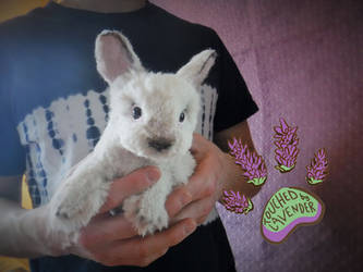 TBL RECYCLED CLOTHING bunny rabbit 2