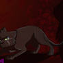 Ravenpaw's discover