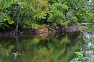 Reflection in the Lagoon