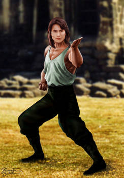 Mortal Kombat - The Movie: Liu Kang