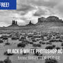 Free Black and White Photoshop Action