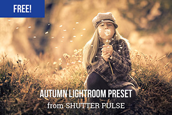 Free Autumn Lightroom Preset