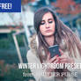 Free Winter Lightroom Preset