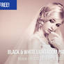Free Black and White Lightroom Preset