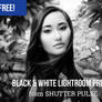 Free Bold Black and White Lightroom Preset