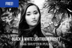 Free Bold Black and White Lightroom Preset