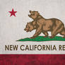 FALLOUT: Flag of the New California Republic
