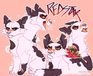 Follow Me I'm distraught | CO | The-Sacred-Rose by DragonWarriorCat