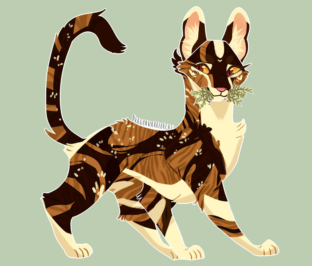 Spottedleaf | Fanart by DragonWarriorCat