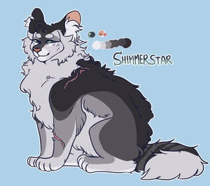 TPG - Contest Entry - Shimmerstar by DragonWarriorCat