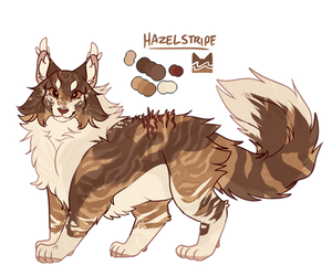 Hazelstripe - 2018 Warriorsona - Ref by DragonWarriorCat