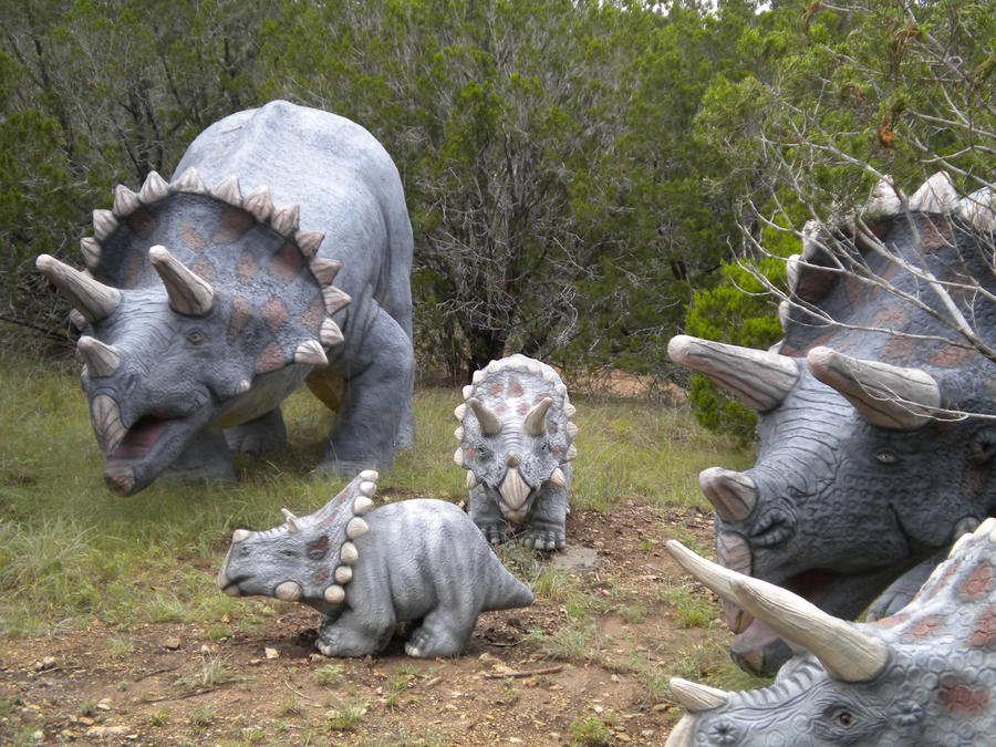 Triceratops family