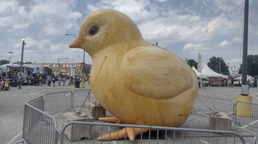 York State Fair Giant Chick
