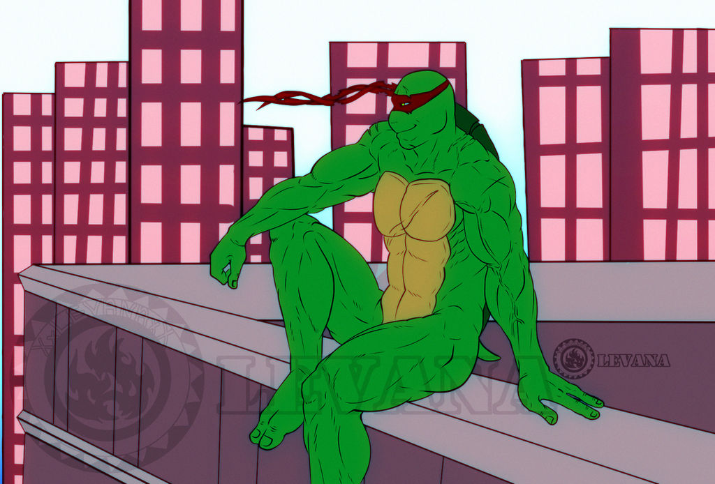 Raph Rooftop Train Raph sitting on rooftop commission by XxLevanaxX on DeviantArt