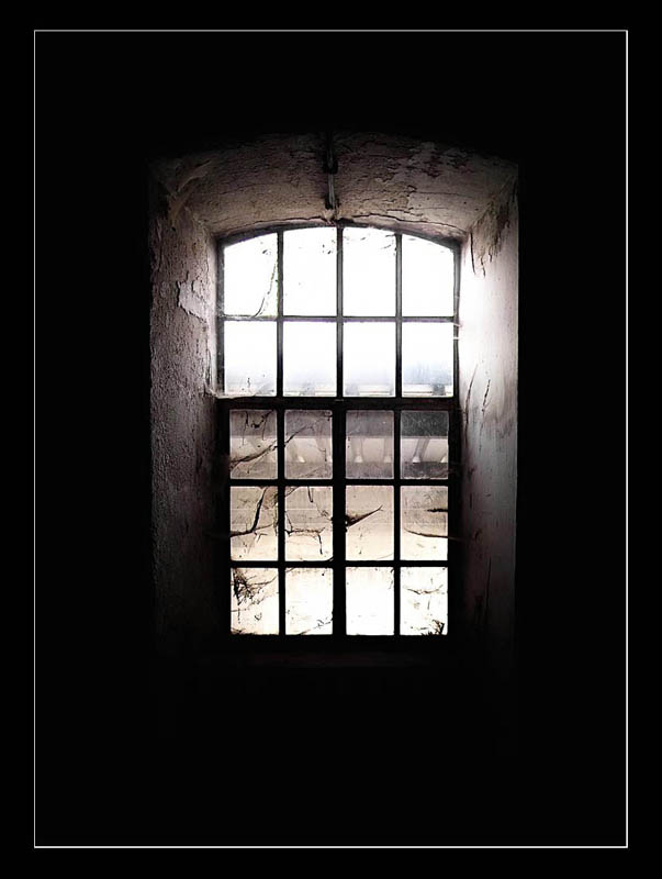 The Window