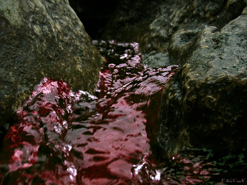 Bloody Waters