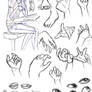 Hand study and others.