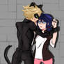 chat noir x Marienette