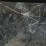 Cracked Glass