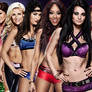 WWE Total Divas Season 3 Episode 13 - 1/18/2015 -