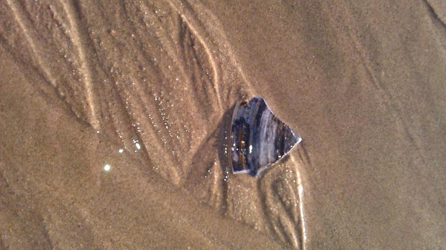 Shell Shard by Master3Foamy on DeviantArt