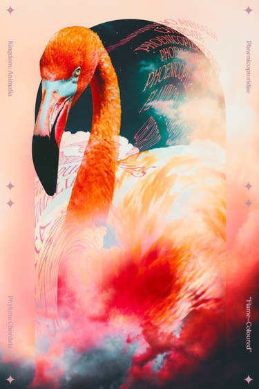 Jerrmie Poster: Ampersand by jerrmie on DeviantArt