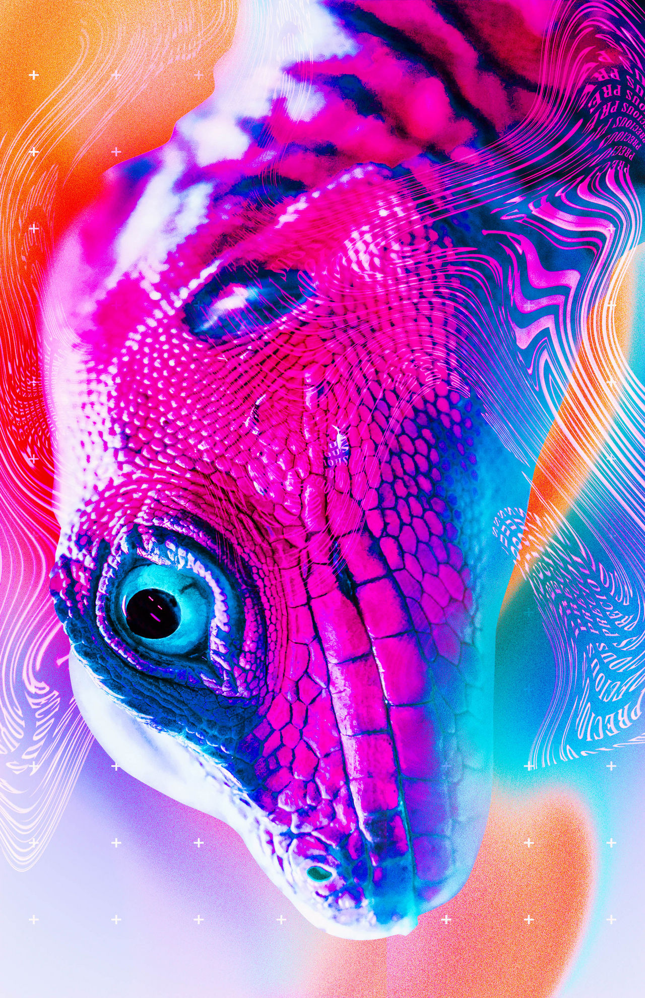 Jerrmie Poster: Lizard by jerrmie on DeviantArt