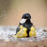 Having a bath