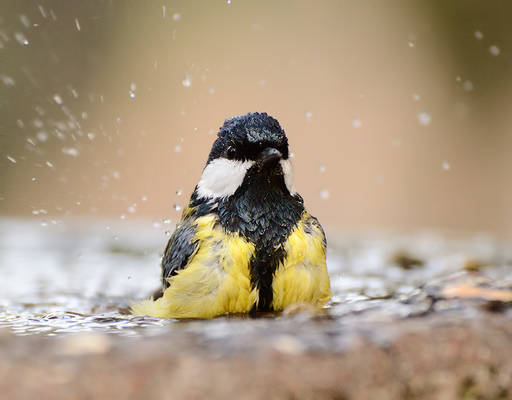 Having a bath