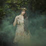 The forest queen II