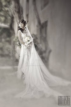 Ethereal Bride