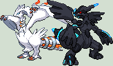 Charged Reshiram and Zekrom