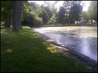 Medfield Park