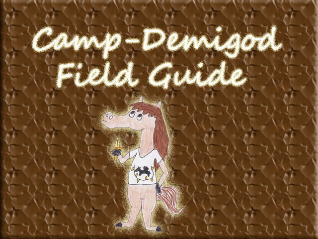 Camp-Demigod Guide- Cover