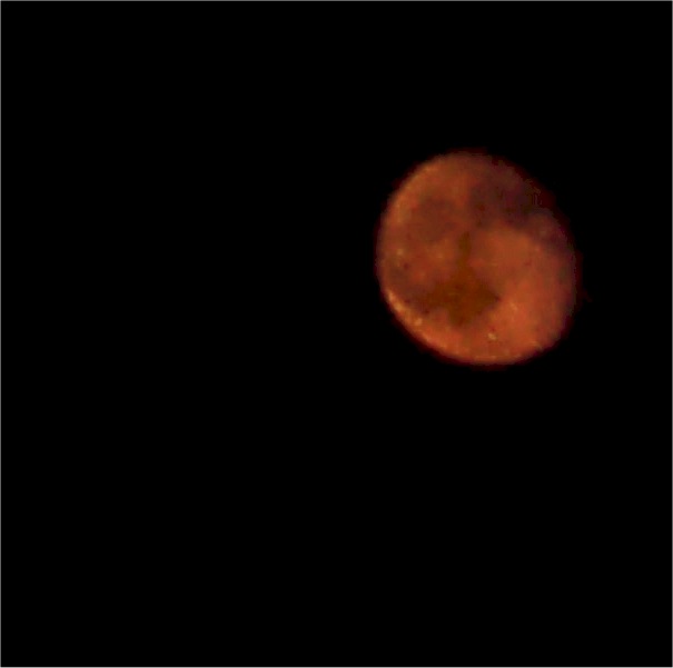 orange moon