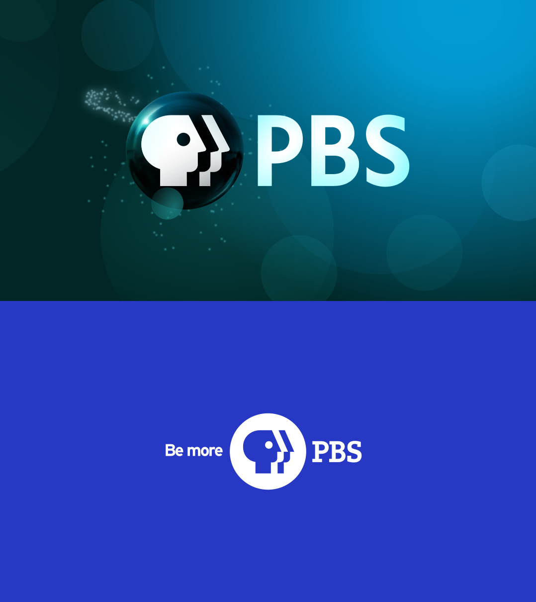 PBS Logo 2009 2019 Color Swap By Mcfaddenskyler On DeviantArt pbs-logo-2009-2019-color-swap-by-mcfaddenskyler-on-deviantart