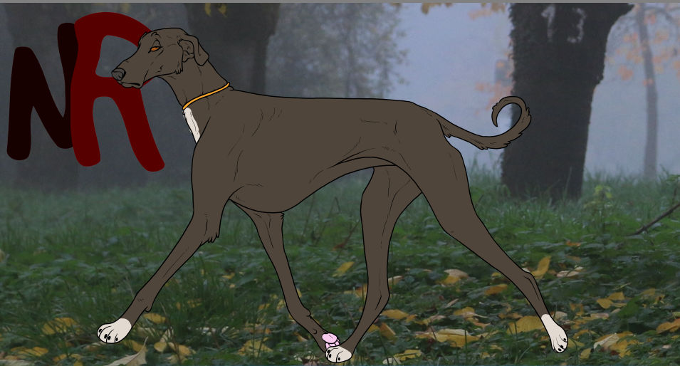 (PPK) Round And Round by ashley31246 on DeviantArt