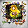 Sunflower And Butterflies