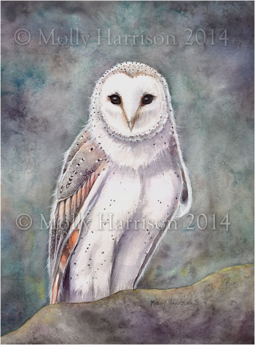 The Barn Owl by Molly Harrison