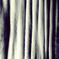 Oscillations