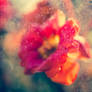 Don't think twice, just cross-process and go.