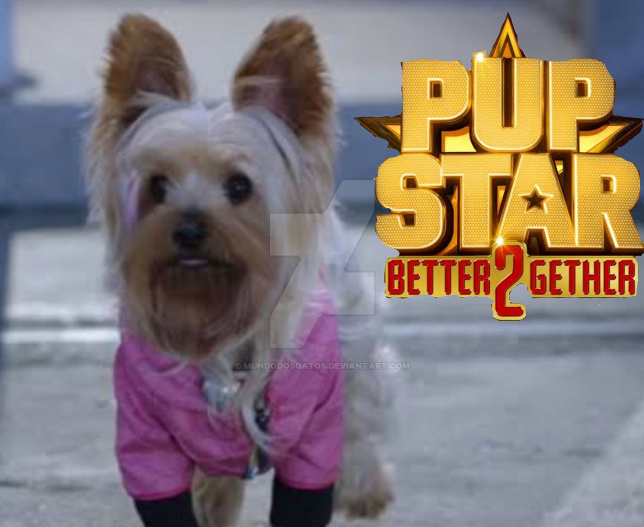 Pup Star Ruff Pup star scrappy by mundodosgatos on DeviantArt