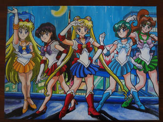 Sailor Moon Scouts Acrylics