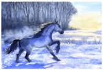 Winter gallop by DappleHack