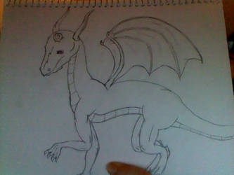 Dragon -full body-