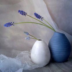 Blue and white