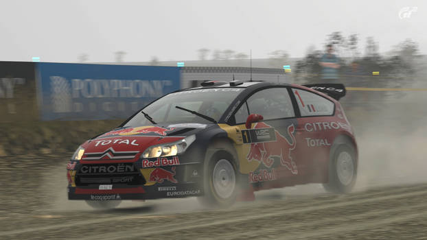 Sebastian Loeb