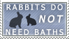 Rabbits, baths. by sassawj