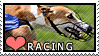 Racing Stamp by sassawj