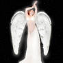 white angel 2